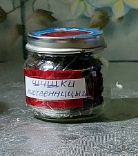 Шишки листвиницы