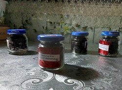 Лиственничные шишки