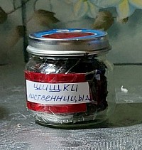 Шишки листвинницы